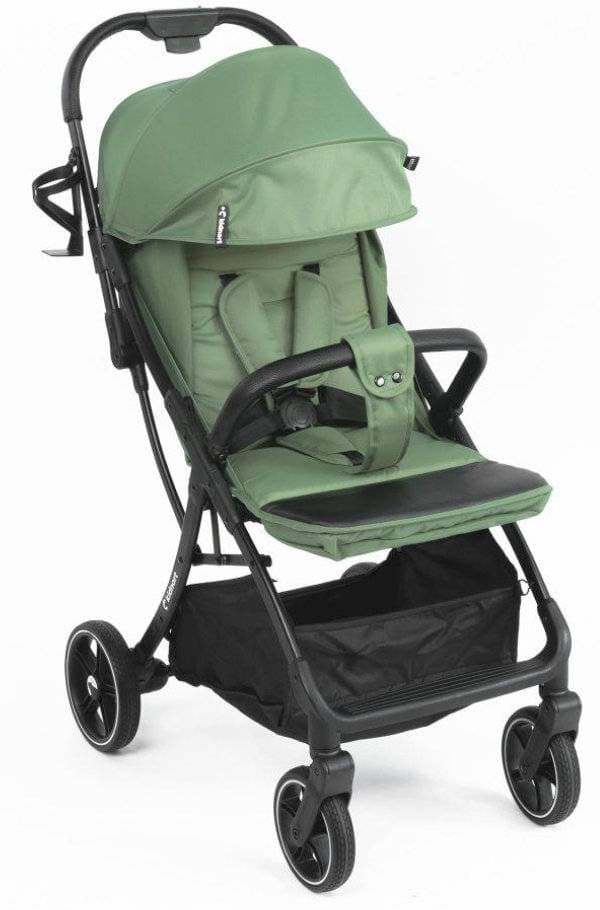Kidnort Fjällräv