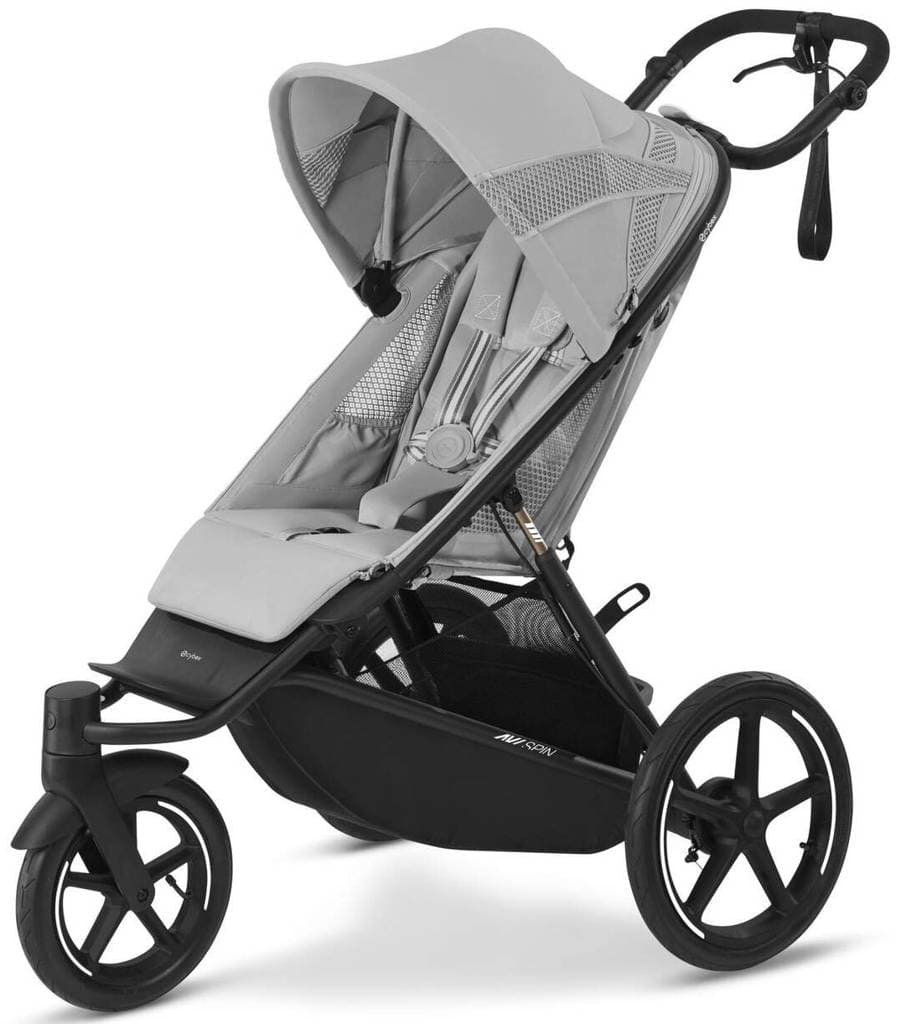 Cybex Avi Spin